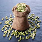 Ethiopian Green Coffee